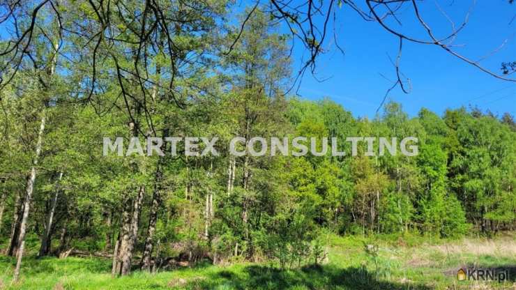 5 pokojowe, Wodzisław Śląski, ul. , Mieszkanie  na sprzedaż