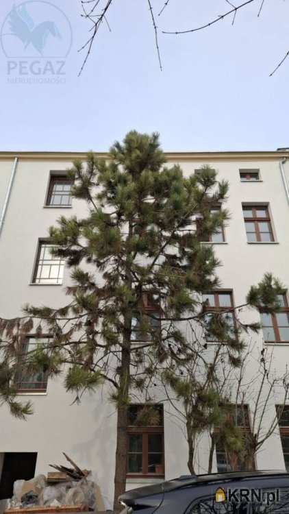 Poznań, Jeżyce, ul. św. Wawrzyńca, 1 pokojowe, Mieszkanie  do wynajęcia