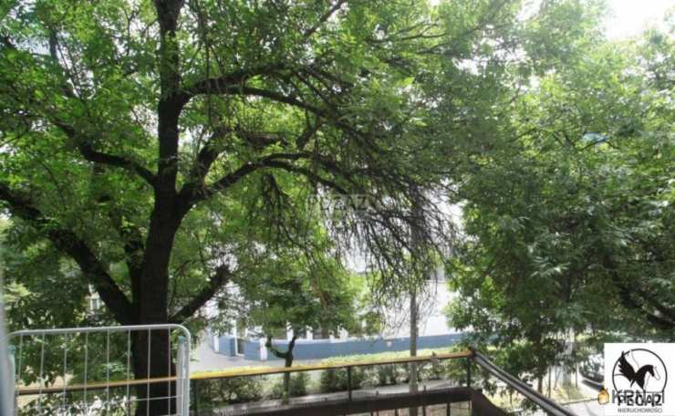 Poznań, Jeżyce, ul. Mylna, 1 pokojowe, Mieszkanie  na sprzedaż