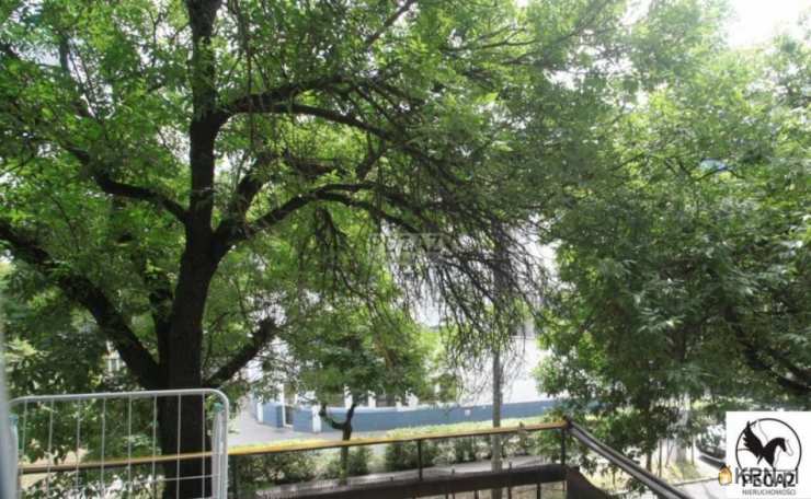 1 pokojowe, Mieszkanie  na sprzedaż, Poznań, Jeżyce, ul. Mylna