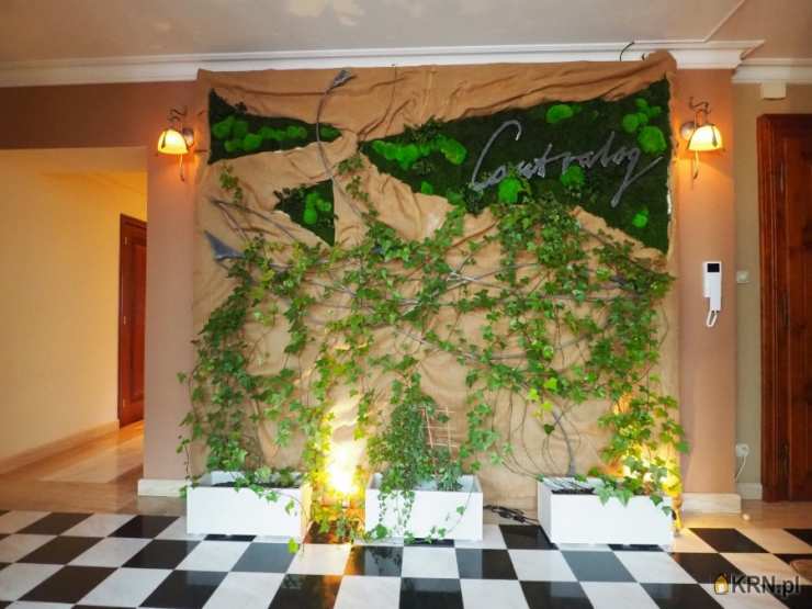 3 pokojowe, Kraków, Stare Miasto/Śródmieście, ul. Rynek Główny, Mieszkanie  na sprzedaż