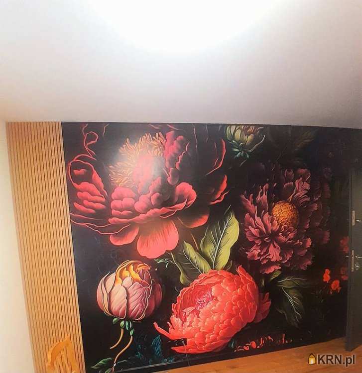 1 pokojowe, Kraków, ul. , Mieszkanie  do wynajęcia