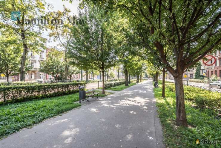 Hamilton May, Mieszkanie  do wynajęcia, Kraków, Stare Miasto/Kazimierz, ul. J. Sarego