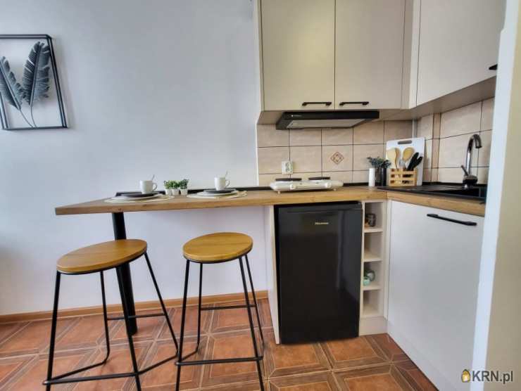 Opole, Śródmieście, ul. Oleska, Mieszkanie  do wynajęcia, 1 pokojowe