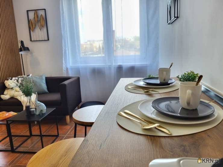 Mieszkanie  do wynajęcia, Opole, Śródmieście, ul. Oleska, 1 pokojowe