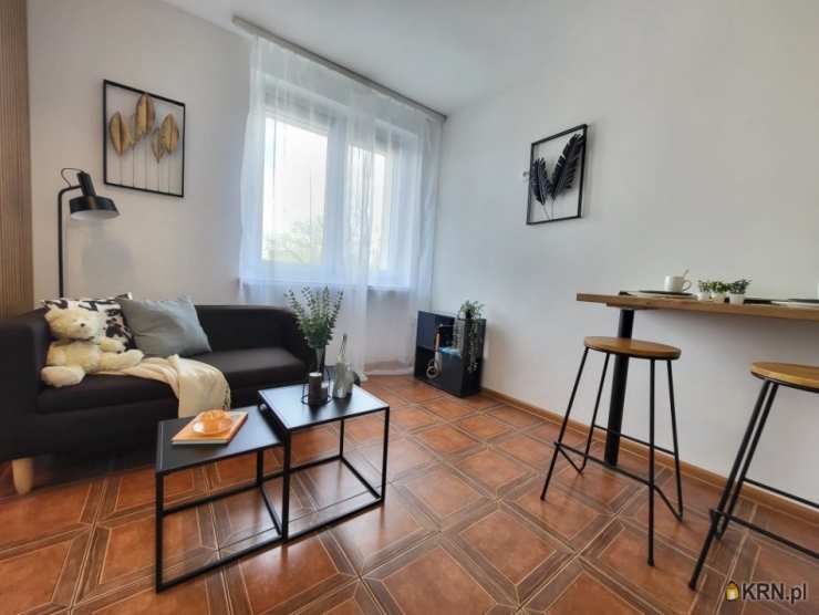 Opole, Śródmieście, ul. Oleska, Mieszkanie  do wynajęcia, 1 pokojowe