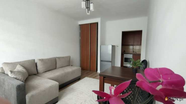 Mieszkanie  do wynajęcia, Warszawa, Ursus, ul. , 1 pokojowe