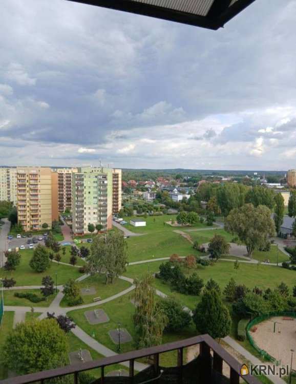 Mieszkanie  na sprzedaż, Bełchatów, ul. , 1 pokojowe