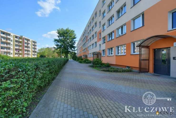 Mieszkanie  do wynajęcia, Toruń, Rubinkowo, ul. , 1 pokojowe