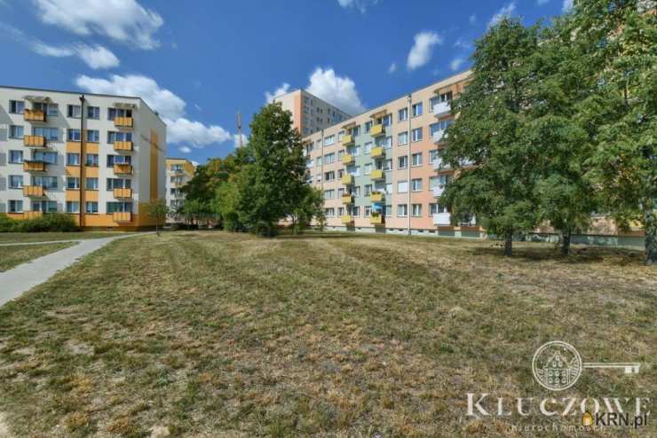 Toruń, Rubinkowo, ul. , Mieszkanie  do wynajęcia, 1 pokojowe