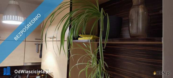 Kraków, Krowodrza, ul. Mazowiecka, Mieszkanie  do wynajęcia, 1 pokojowe