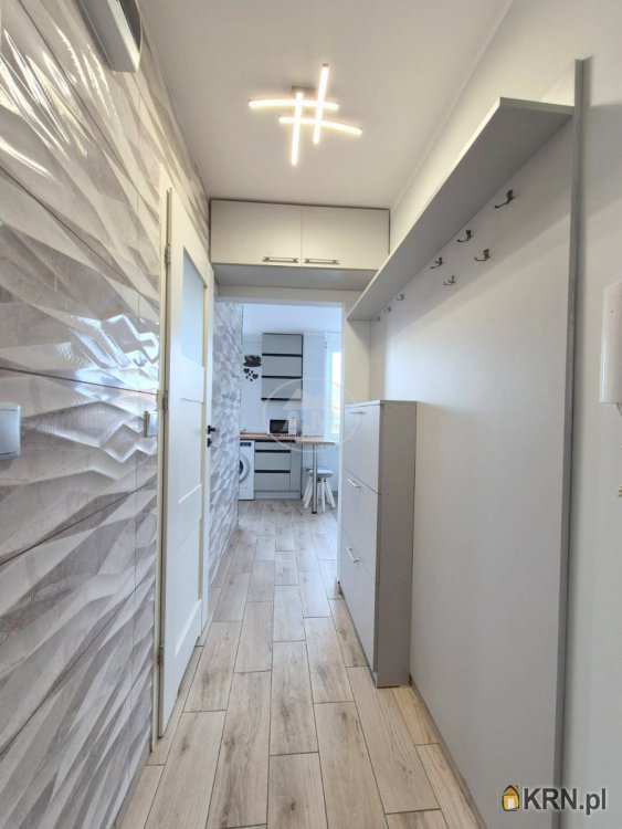 1 pokojowe, Mieszkanie  do wynajęcia, Wrocław, Krzyki, ul. Kamienna