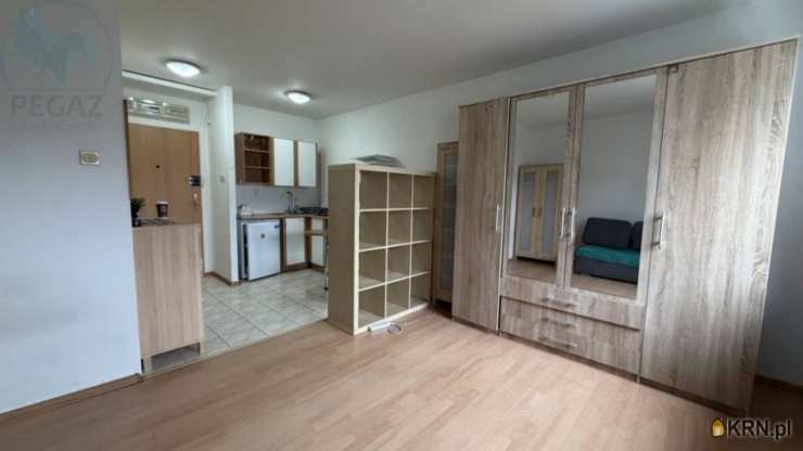 Mieszkanie  do wynajęcia, Poznań, Wilda, ul. Robocza, 1 pokojowe