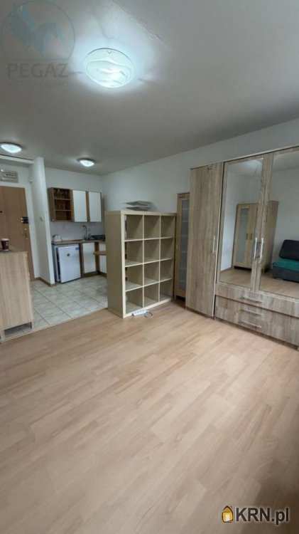 Mieszkanie  do wynajęcia, 1 pokojowe, Poznań, Wilda, ul. Robocza