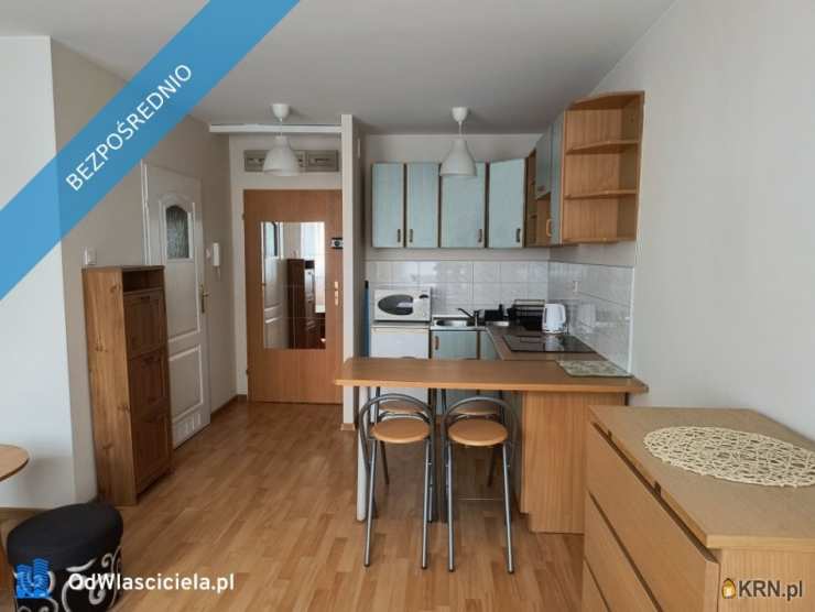 Mieszkanie  do wynajęcia, 1 pokojowe, Poznań, Wilda, ul. Robocza