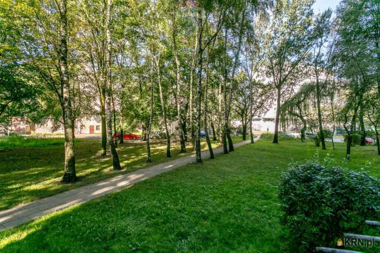 Łódź, Bałuty, ul. , Mieszkanie  do wynajęcia, 1 pokojowe