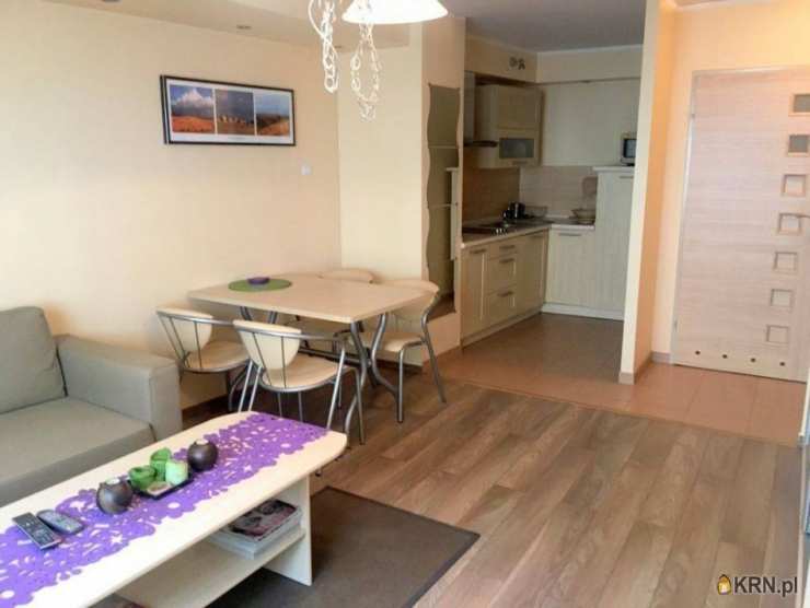 Mieszkanie  do wynajęcia, pow. Poznański, ul. , 1 pokojowe