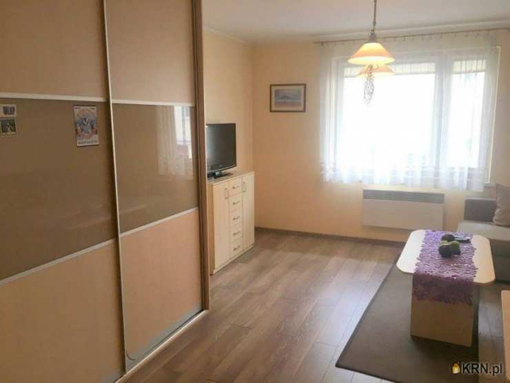 pow. Poznański, ul. , Mieszkanie  do wynajęcia, 1 pokojowe