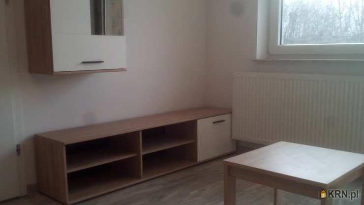 Mieszkanie  do wynajęcia, Wrocław, Fabryczna, ul. Wełniana, 1 pokojowe