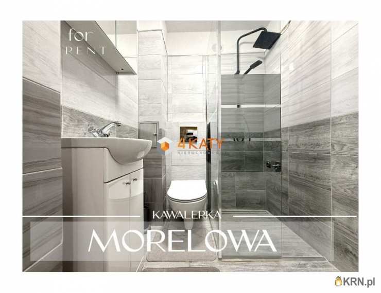 Mieszkanie  do wynajęcia, Zielona Góra, ul. Morelowa, 1 pokojowe