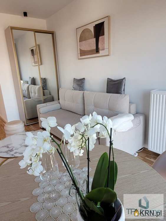 Mieszkanie  do wynajęcia, 1 pokojowe, Katowice, Środmieście, ul. Zabrska