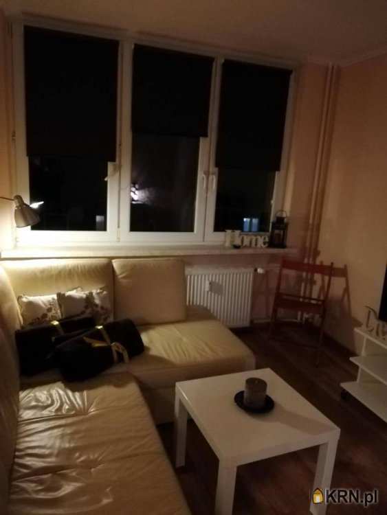 Mieszkanie  do wynajęcia, Bytom, ul. , 1 pokojowe