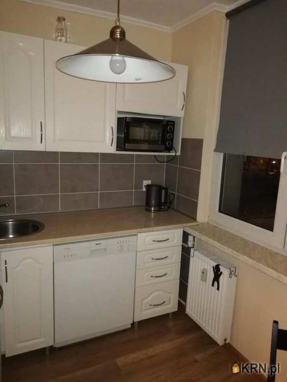 1 pokojowe, Mieszkanie  do wynajęcia, Bytom, ul. 