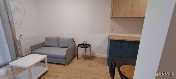 Mieszkanie  do wynajęcia, 2 pokojowe, Fałkowo, ul. 