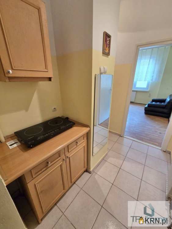 1 pokojowe, Mieszkanie  do wynajęcia, Katowice, Koszutka, ul. M. Grażyńskiego