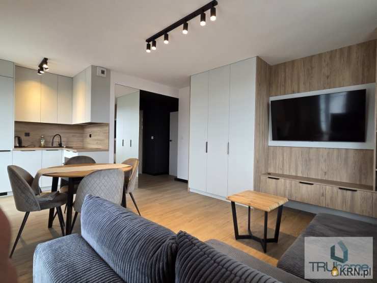 Mieszkanie  do wynajęcia, Katowice, Koszutka, ul. Słoneczna, 1 pokojowe