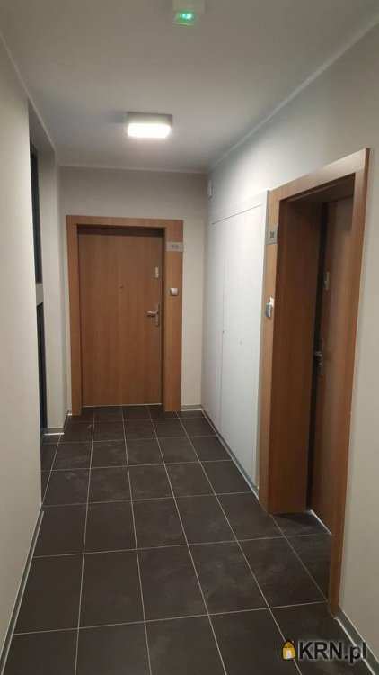 Mieszkanie  do wynajęcia, 1 pokojowe, Poznań, Wilda, ul. Różana