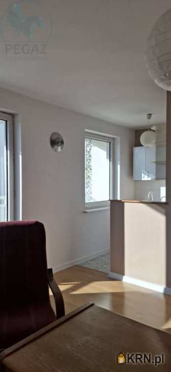 Mieszkanie  do wynajęcia, 1 pokojowe, Poznań, Stare Miasto/Winogrady, ul. 