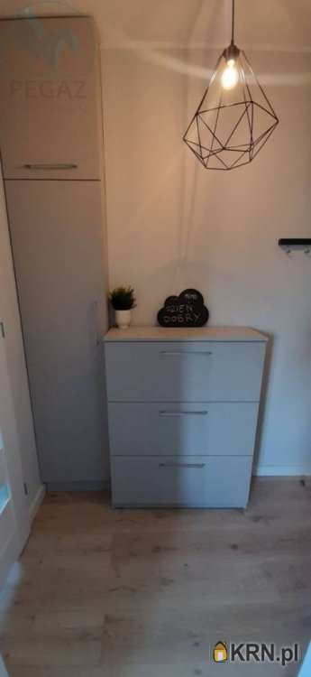 1 pokojowe, Poznań, Grunwald, ul. M. Palacza, Mieszkanie  do wynajęcia