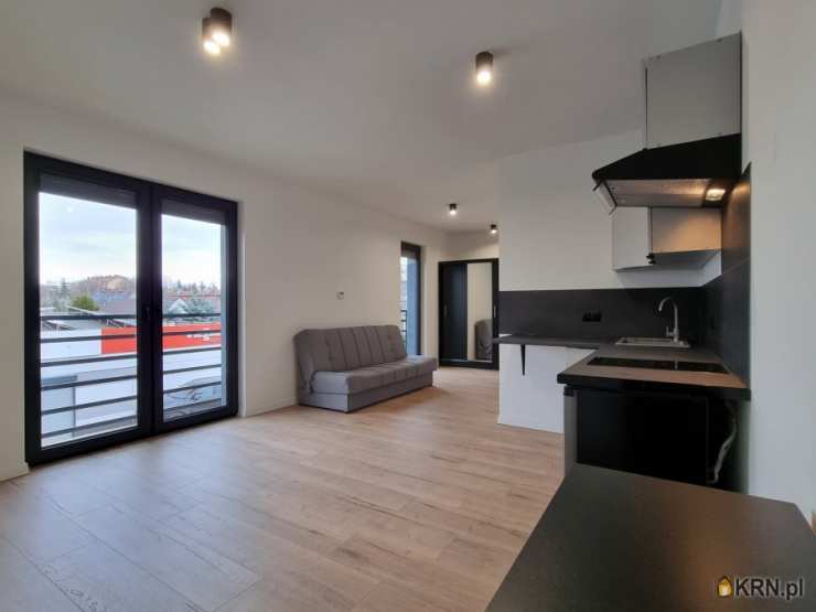 Mieszkanie  do wynajęcia, Poznań, Jeżyce, ul. Rzeszowska, 1 pokojowe