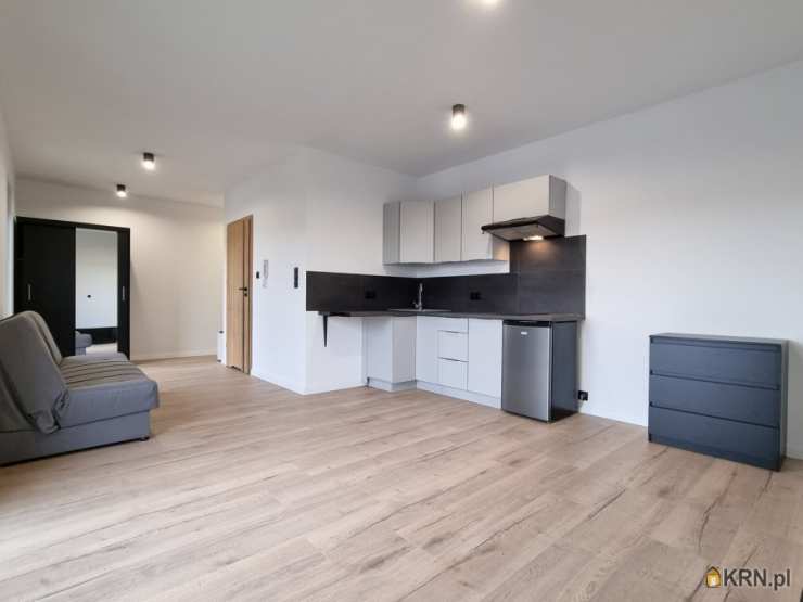 Poznań, Jeżyce, ul. Rzeszowska, Mieszkanie  do wynajęcia, 1 pokojowe