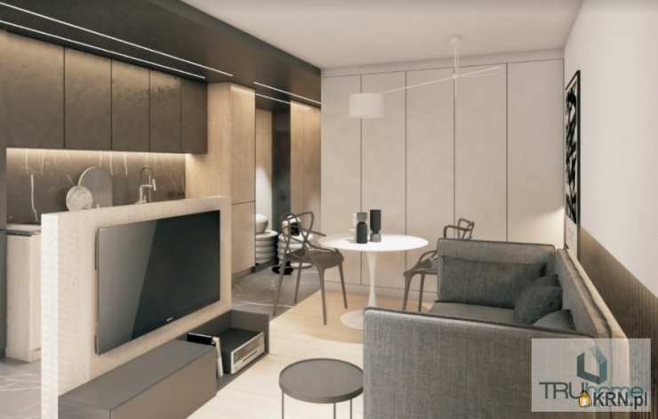 Mieszkanie  do wynajęcia, 1 pokojowe, Katowice, Środmieście, ul. Sokolska