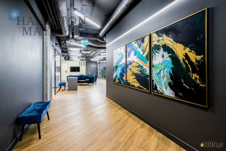 Hamilton May, Mieszkanie  do wynajęcia, Mirów, ul. 