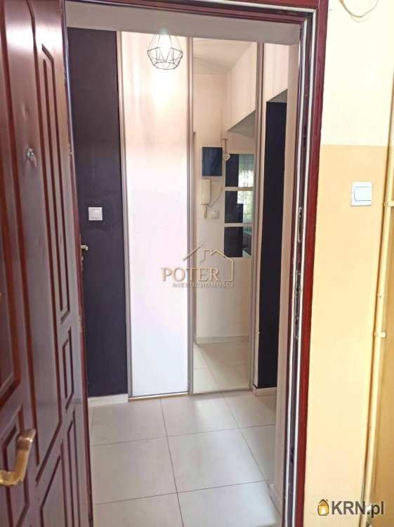 Poter Nieruchomości, Mieszkanie  do wynajęcia, Wrocław, Stare Miasto/Szczepin, ul. Nabycińska