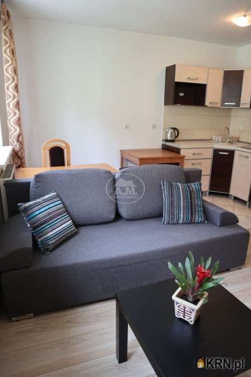 Mieszkanie  do wynajęcia, 1 pokojowe, Wrocław, Krzyki/Gaj, ul. Kłodzka
