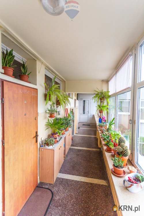 Łódź, Śródmieście, ul. , Mieszkanie  do wynajęcia, 1 pokojowe