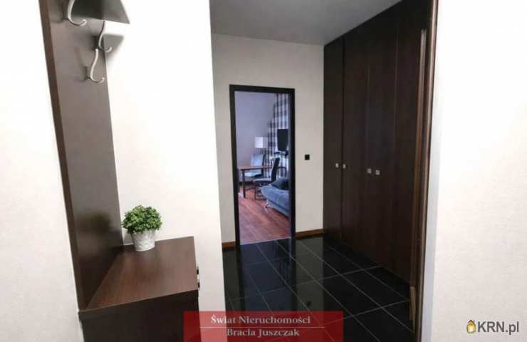 Wrocław, Stare Miasto, ul. Rynek, Mieszkanie  do wynajęcia, 1 pokojowe