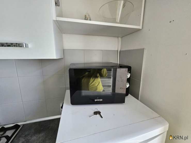 Mieszkanie  do wynajęcia, 1 pokojowe, Dzierżążno, ul. Kartuska