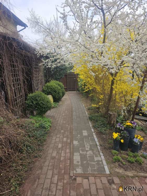 Mieszkanie  do wynajęcia, Dzierżążno, ul. Kartuska, 1 pokojowe