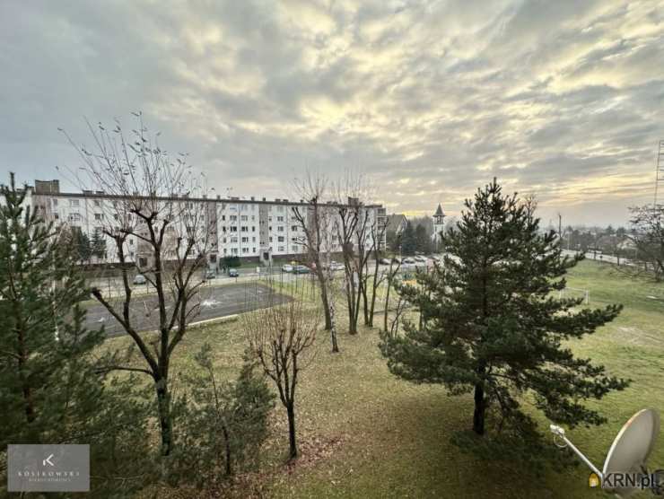 Mieszkanie  na sprzedaż, 1 pokojowe, Syców, ul. 