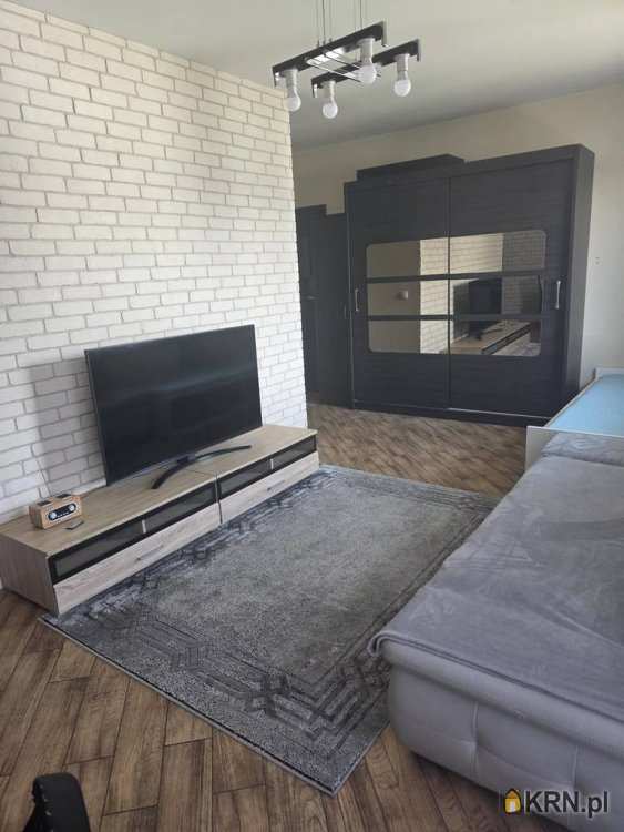 Mieszkanie  do wynajęcia, Wieliszew, ul. , 1 pokojowe