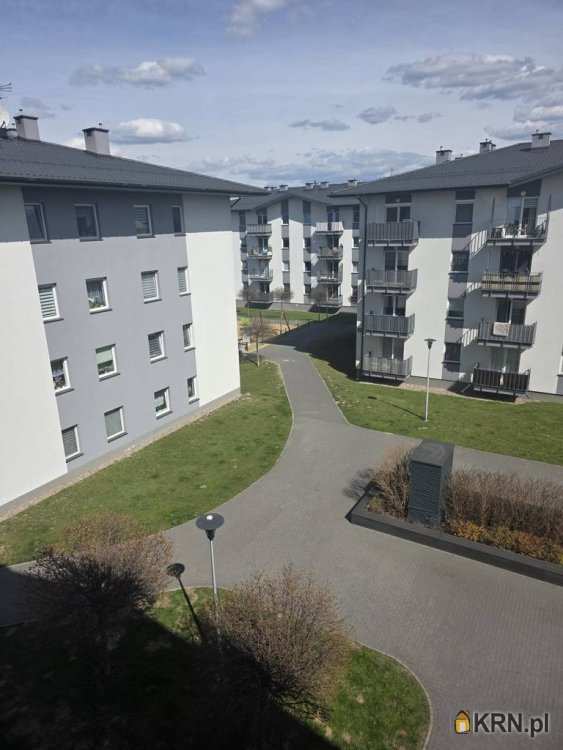 Mieszkanie  do wynajęcia, 1 pokojowe, Wieliszew, ul. 