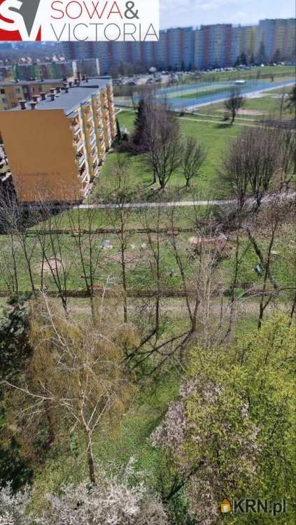 Wałbrzych, Podzamcze, ul. , Mieszkanie  do wynajęcia, 2 pokojowe