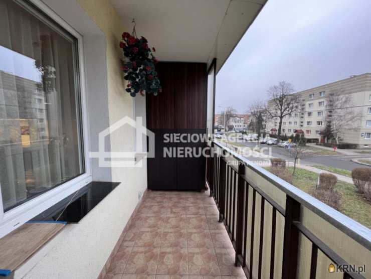 Sieciowa Agencja Nieruchomości Grupa Renoma, Mieszkanie  do wynajęcia, Gdynia, Chylonia, ul. Chylońska