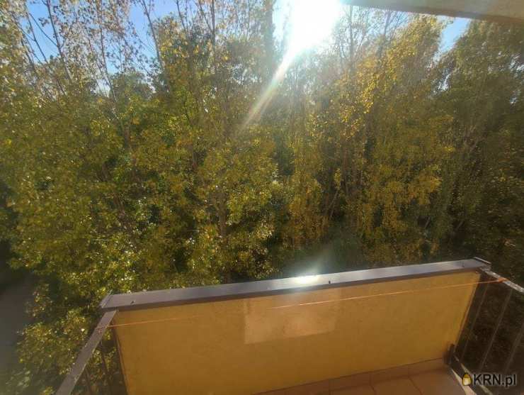 DOMENA NIERUCHOMOŚCI Wigłasz Sp. z o.o., Mieszkanie  do wynajęcia, Siemianowice Śląskie, ul. Okrężna