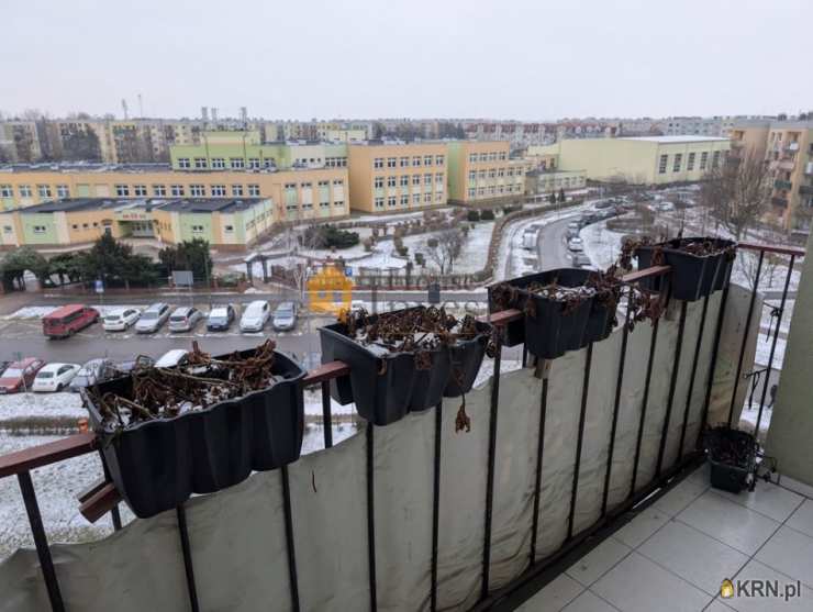 Mieszkanie  do wynajęcia, 2 pokojowe, Legnica, ul. 